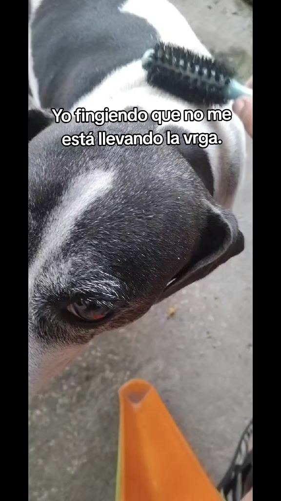 @MANCHAS 0714 OFICIAL