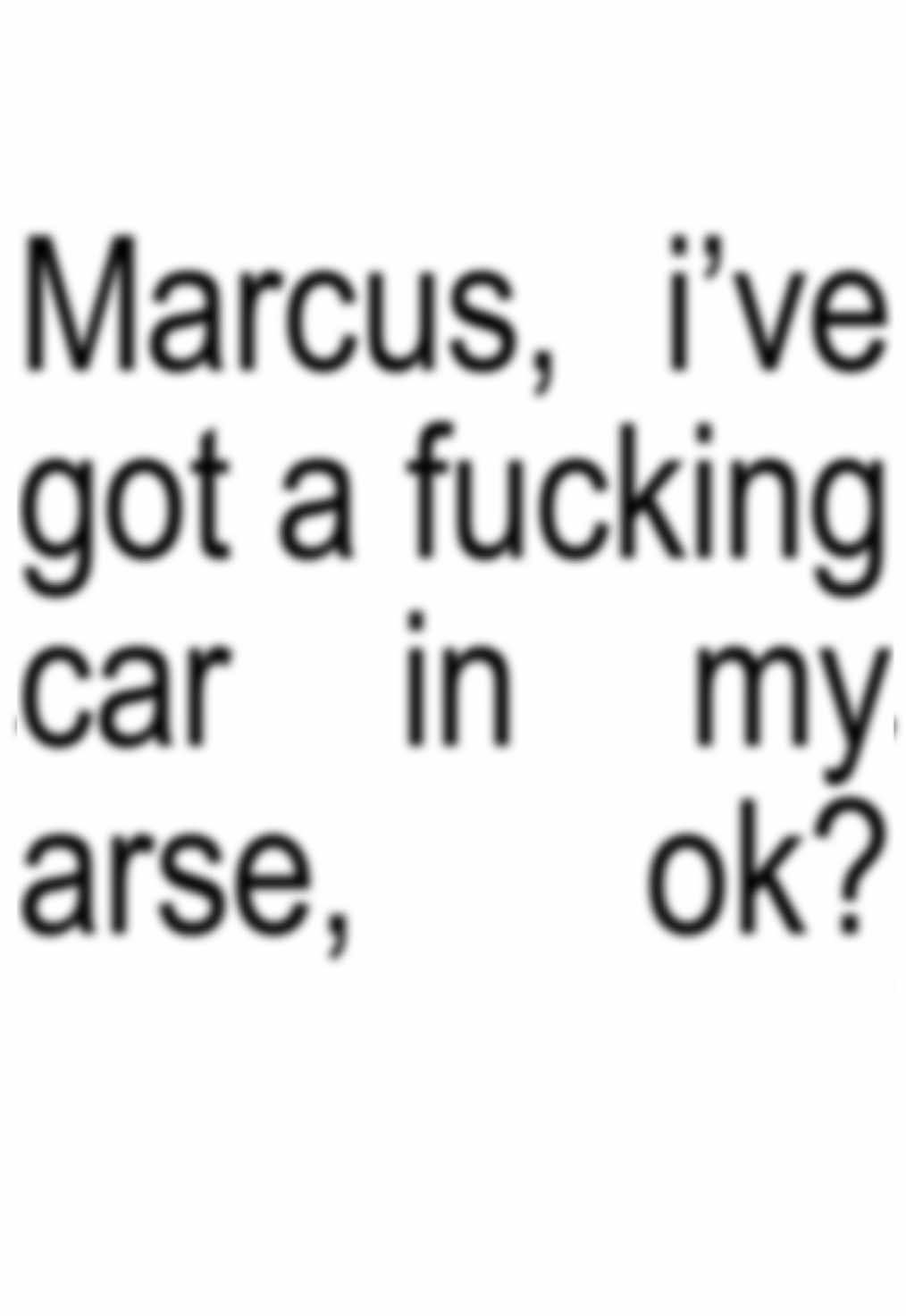 @max verstappen