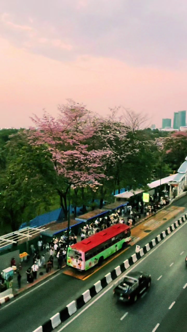 @BKK walks