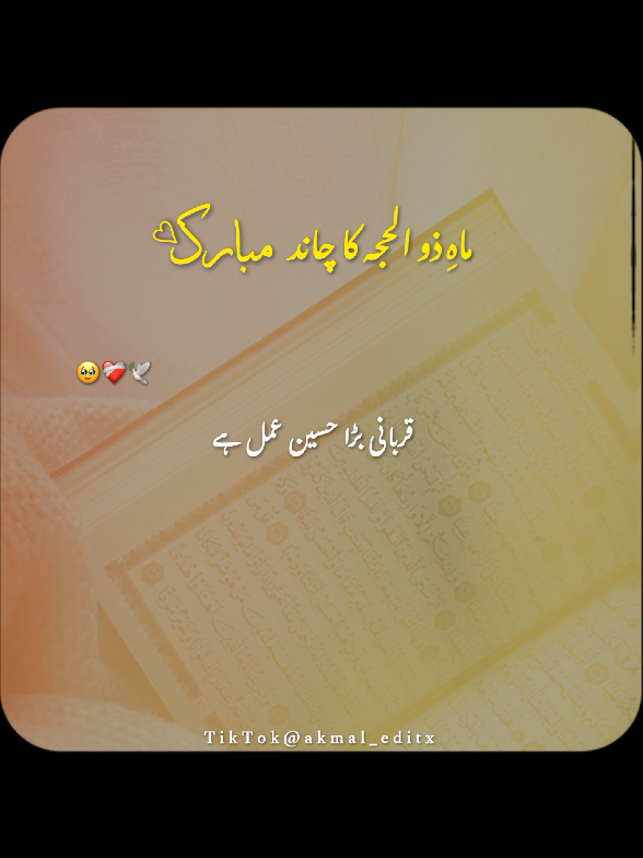 @𝐀𝐤𝐦𝐚𝐥_𝐄𝐝𝐢𝐭𝐱
