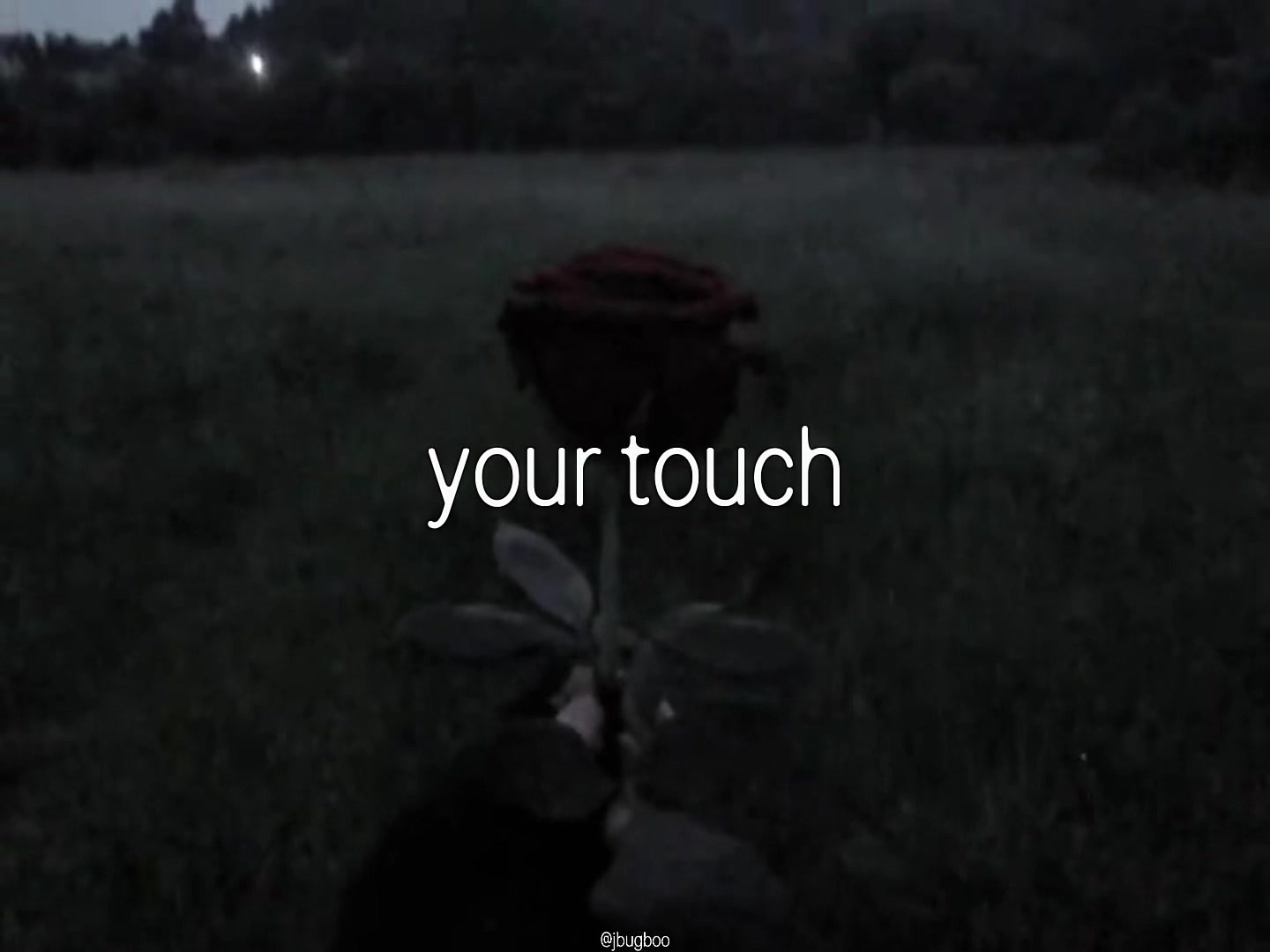 @bug