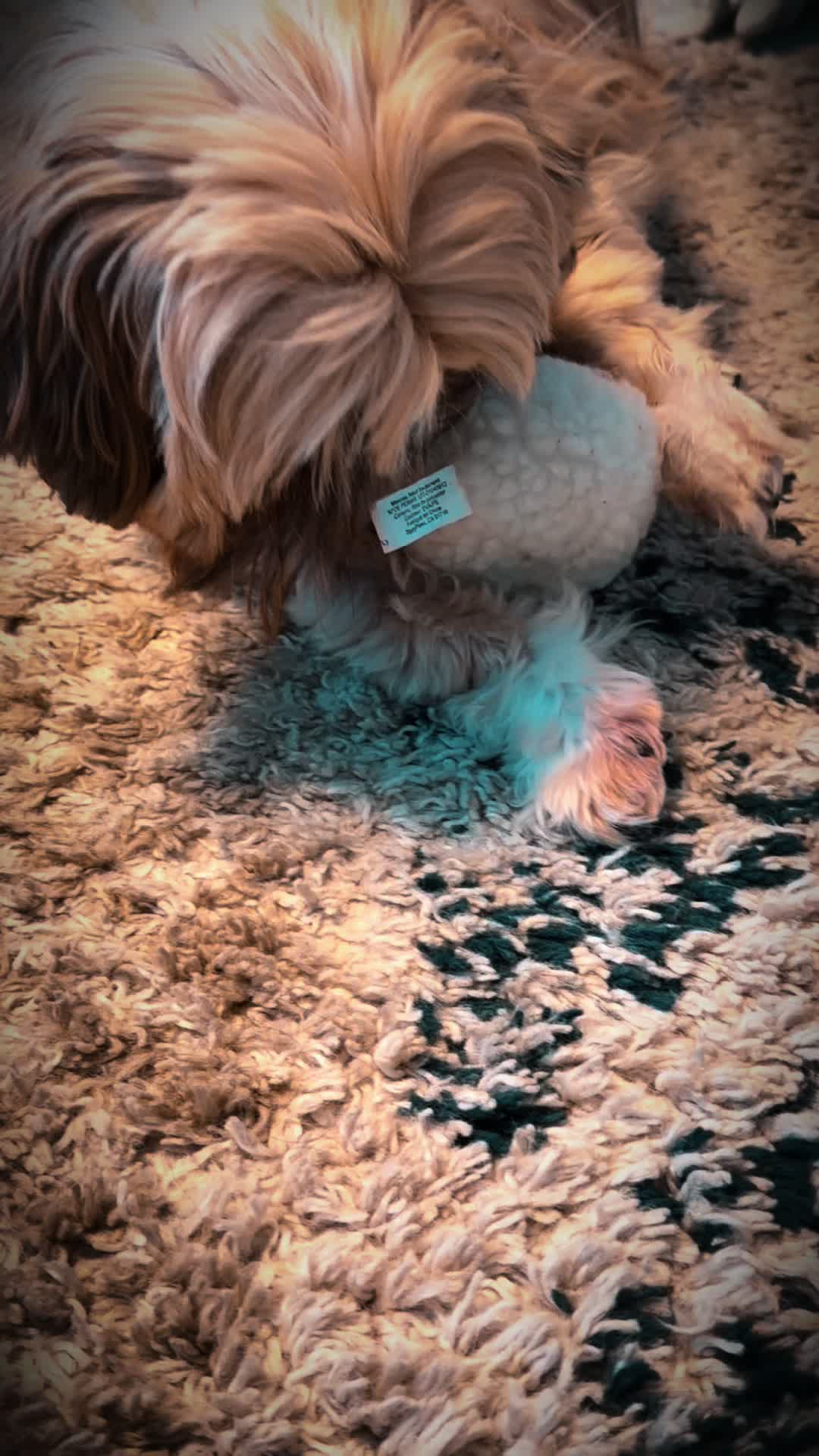 @Duuuviethedog