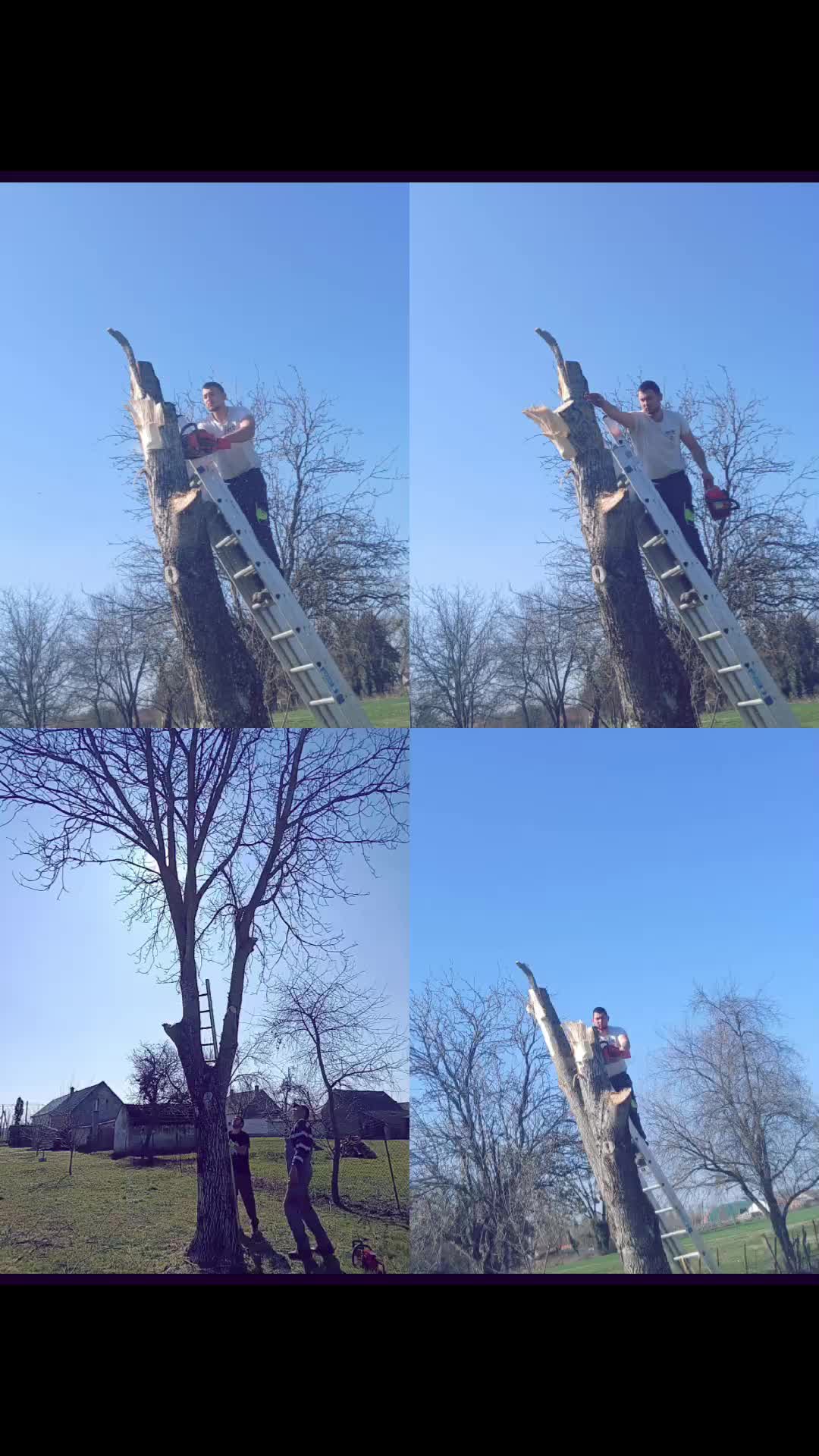 @🦅🐅MR.TORMÁSI🐅🦅