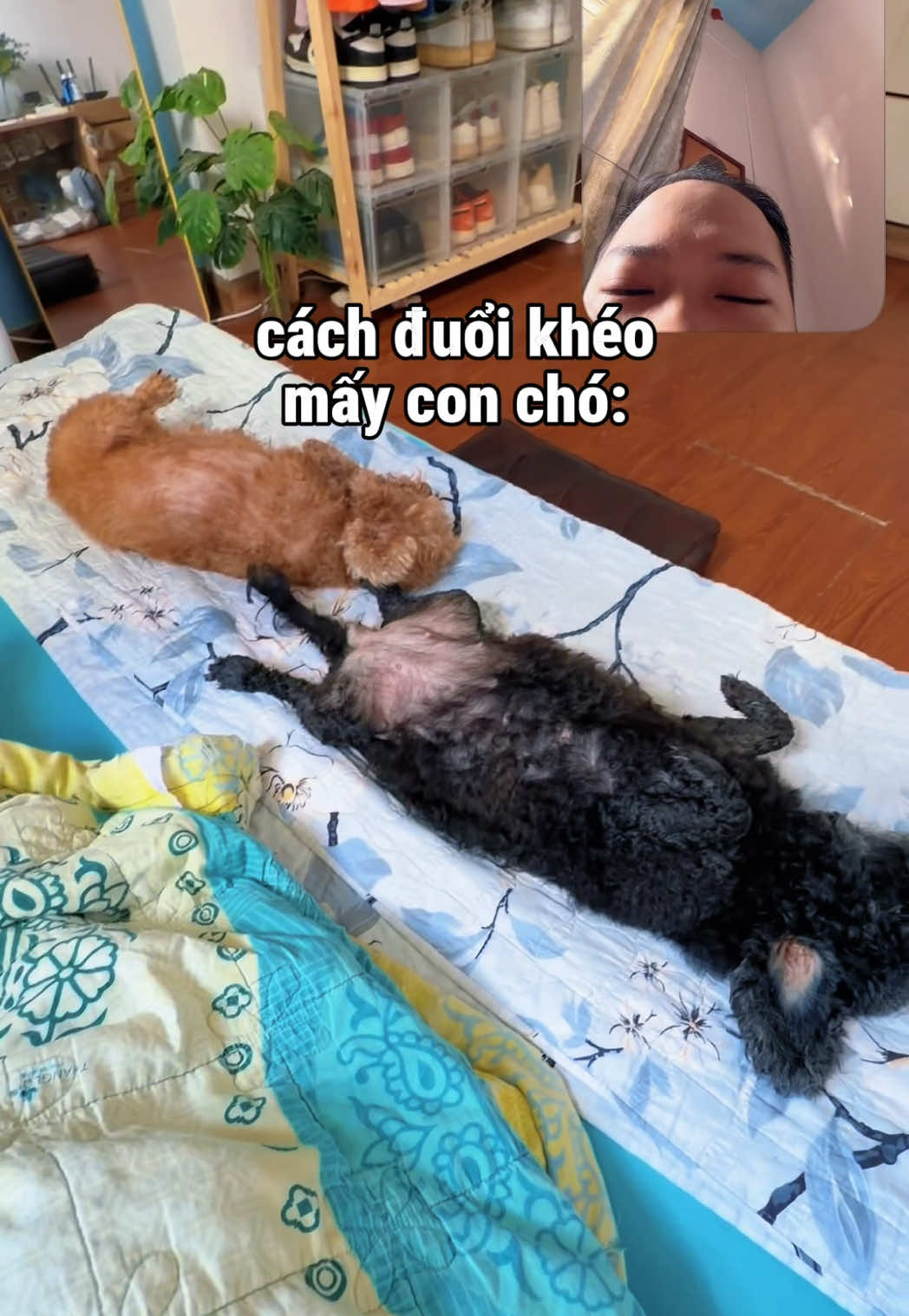 @Cái phòng nhỏ xíu