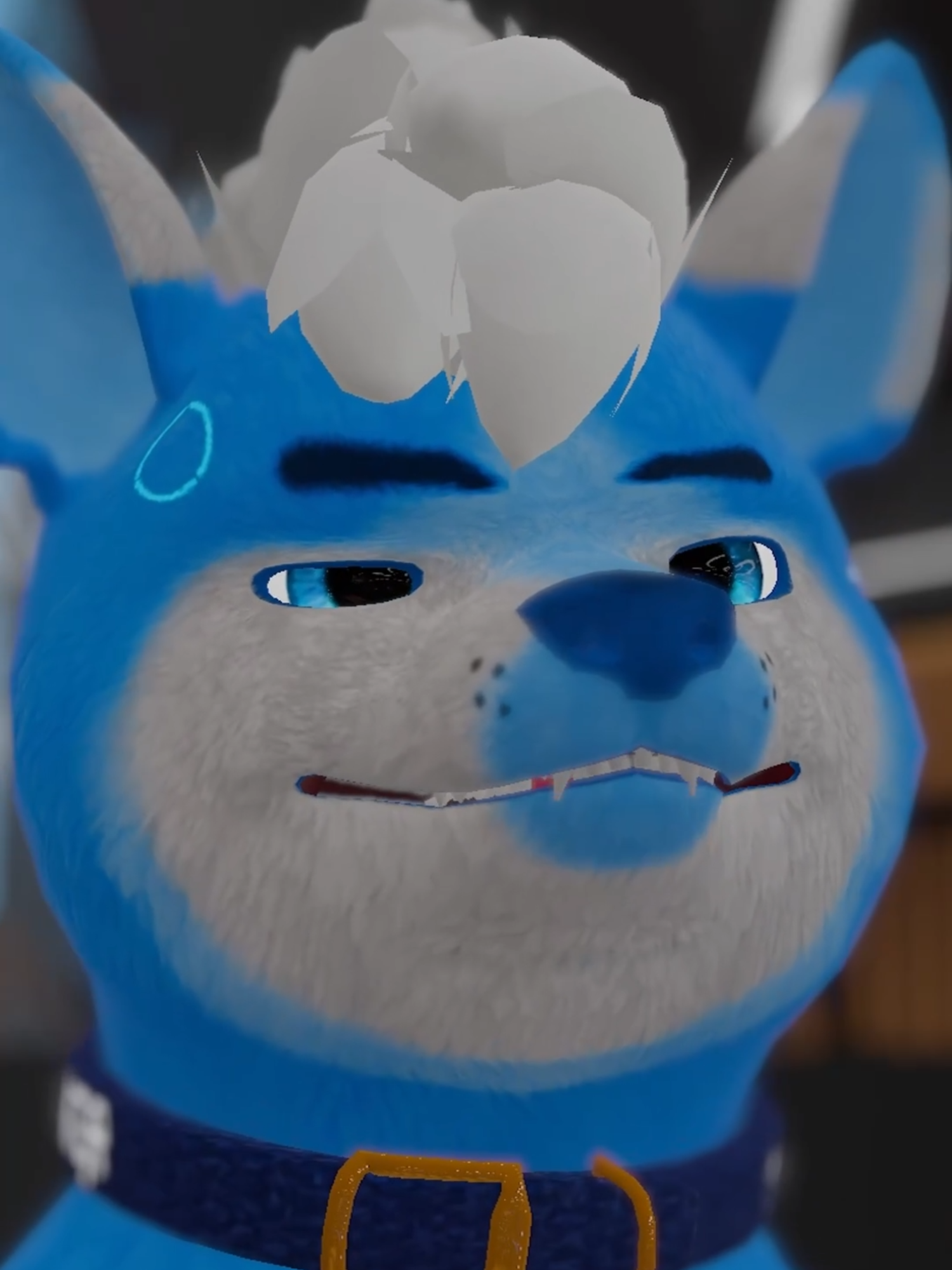 @Seaiter