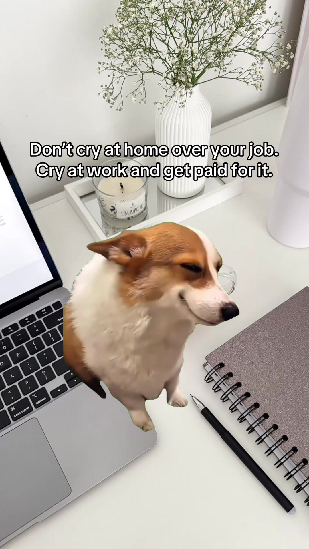 @Indeed Australia