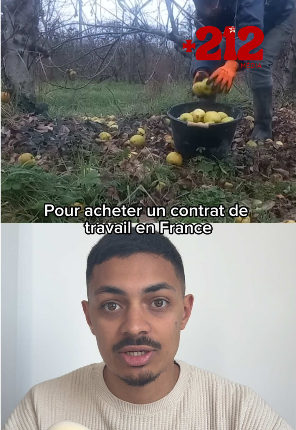 @+212.média