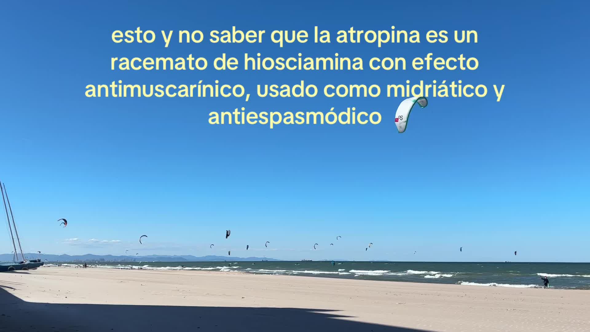 @carol garcia