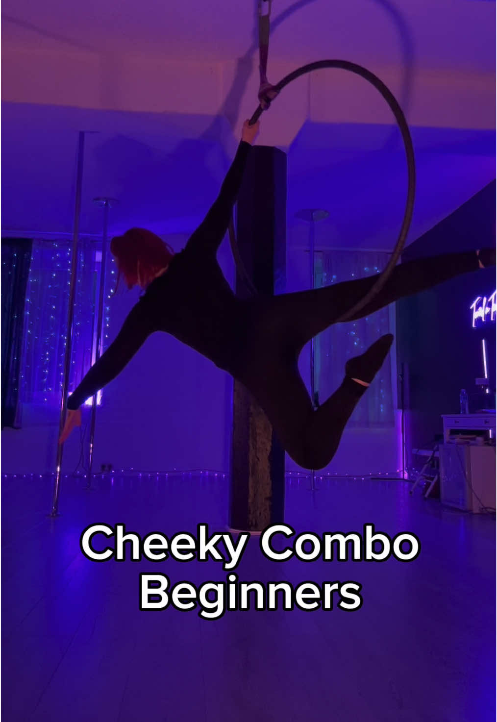 @MichelleT AerialHoop