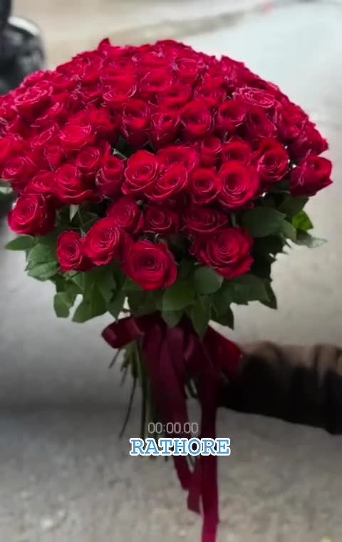 @Mohammad Zaheer Attari