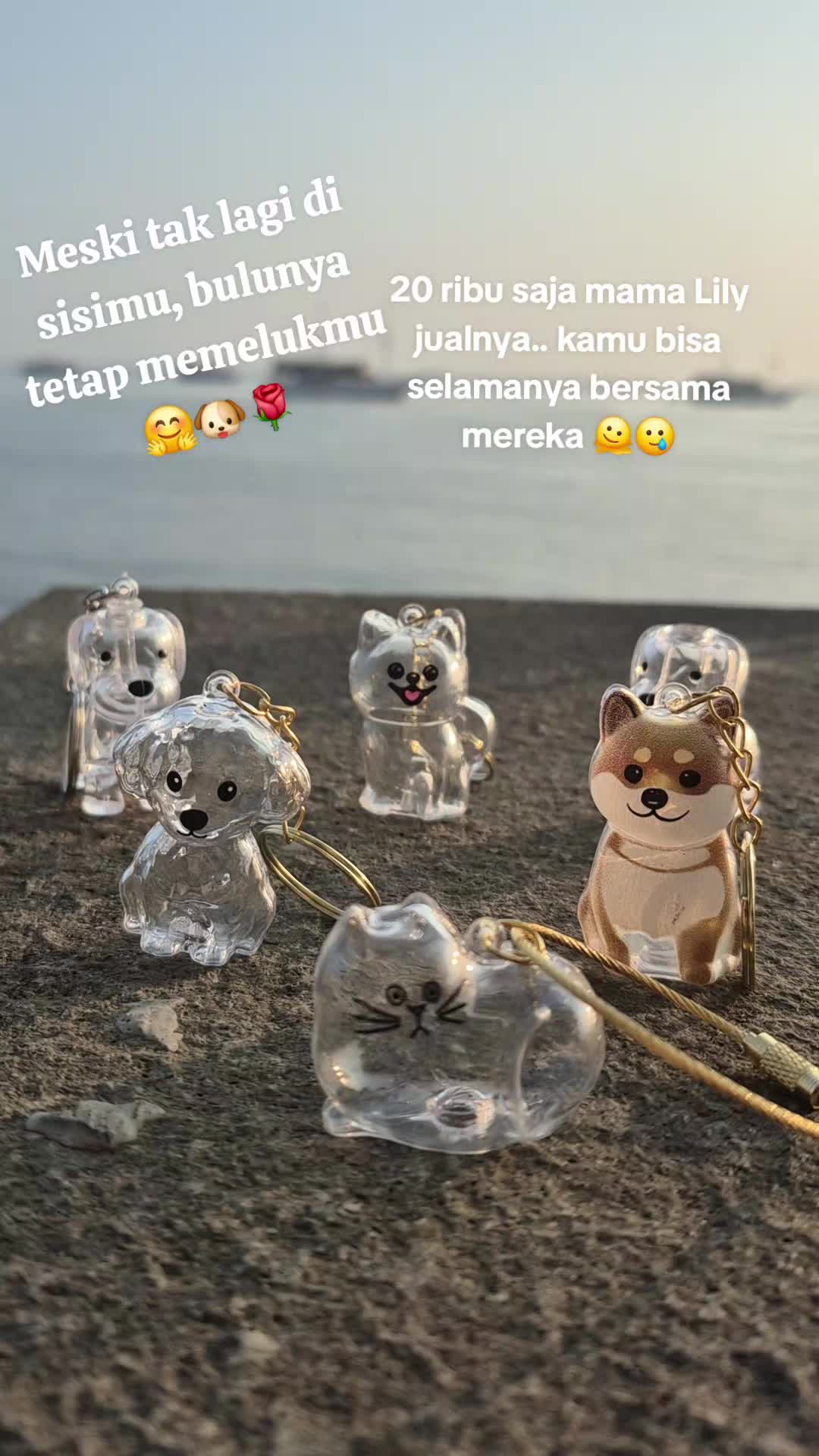 @Koncone Sego