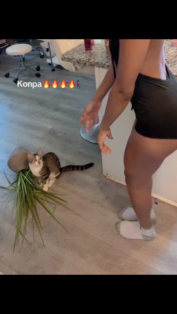 @malaa00.0