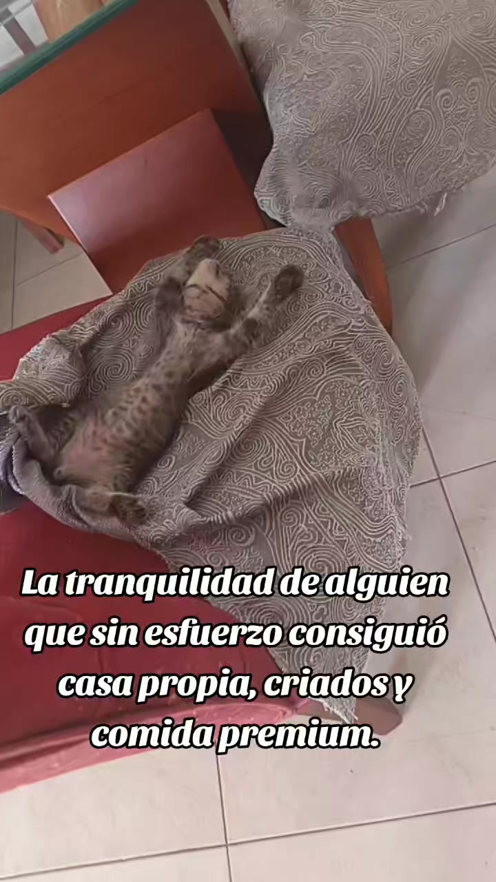 @La Ni&ntilde;a Bonita