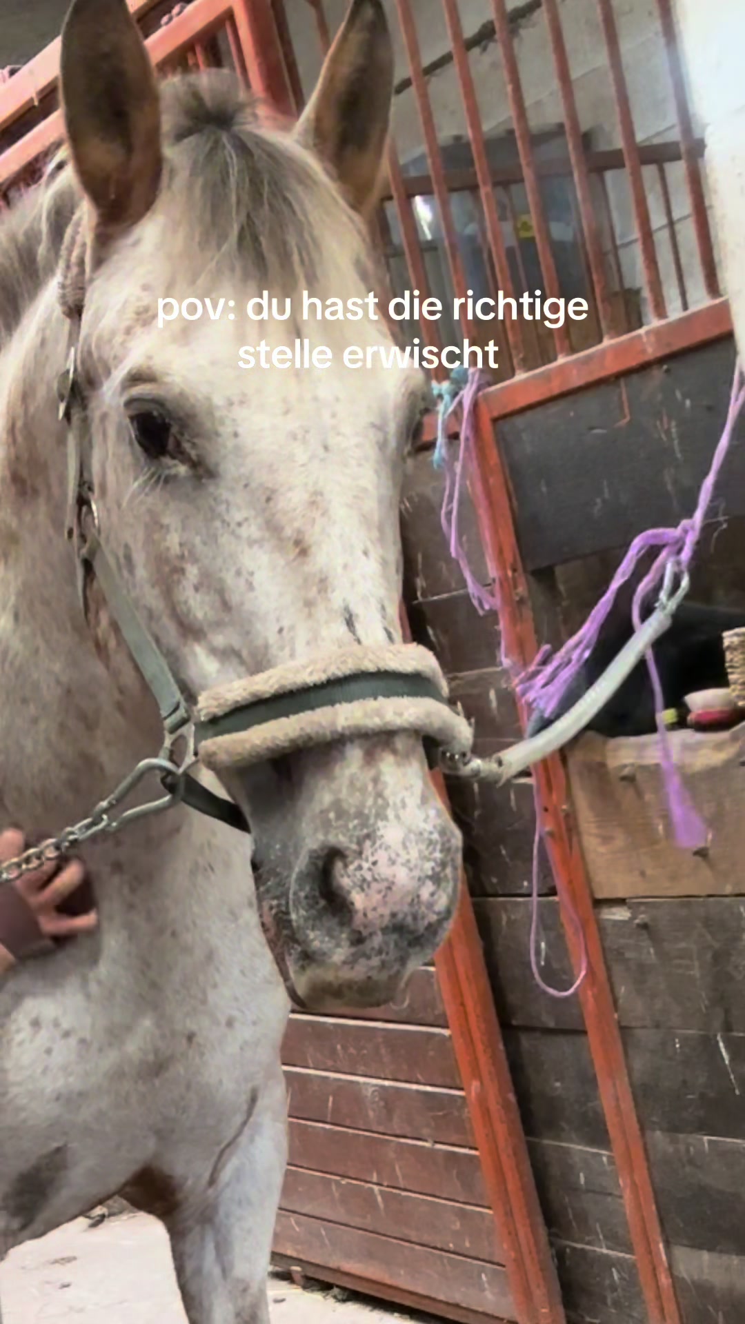 @Kinderreitenfulda