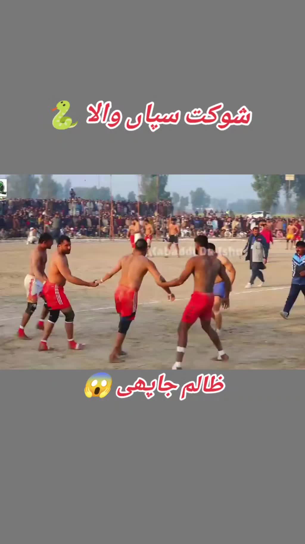 @Shokat Sapa ala 🐍