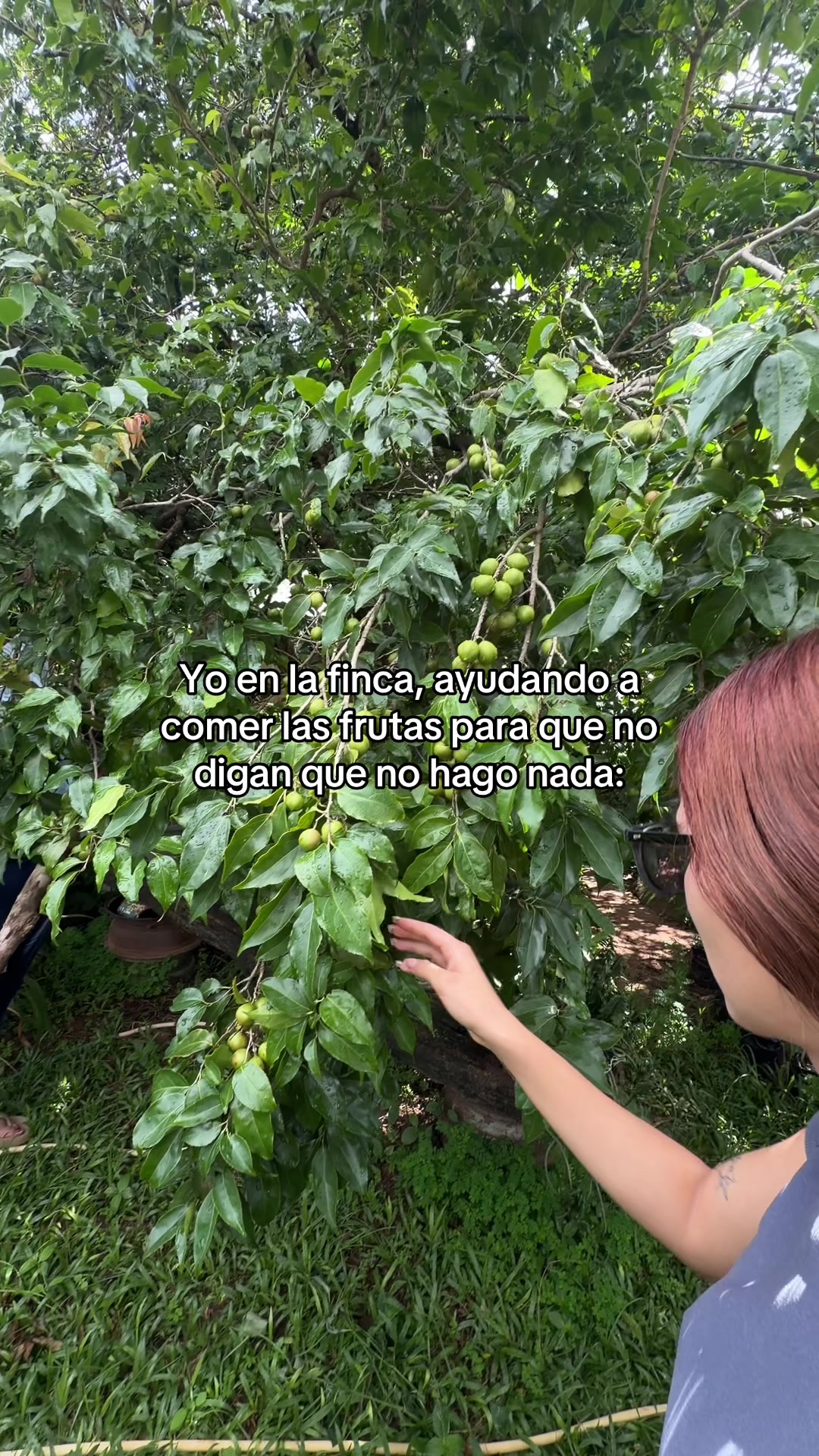 @Gabriela Gomez