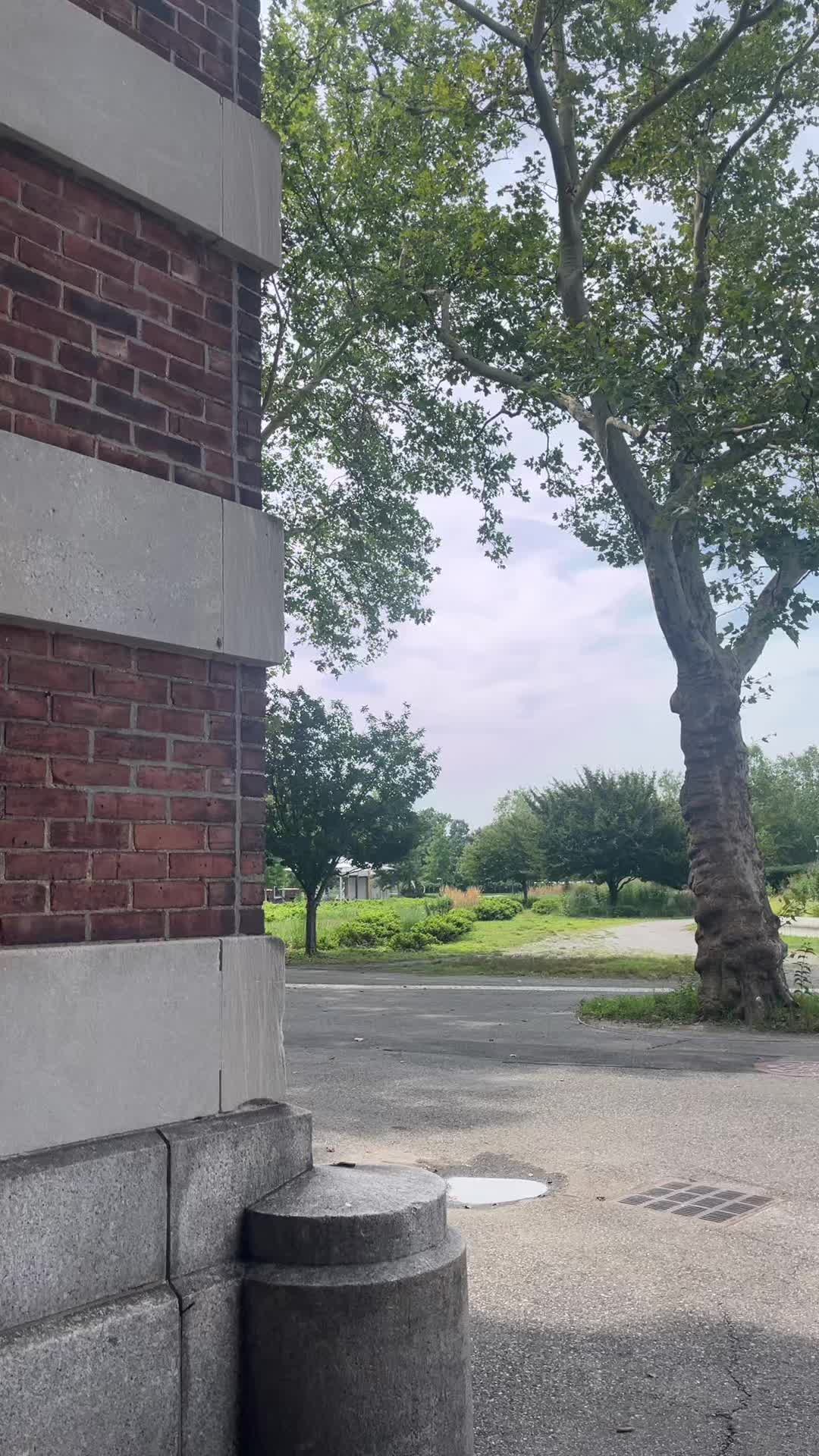 @𝓚𝓐𝓔𝓛𝓨𝓝