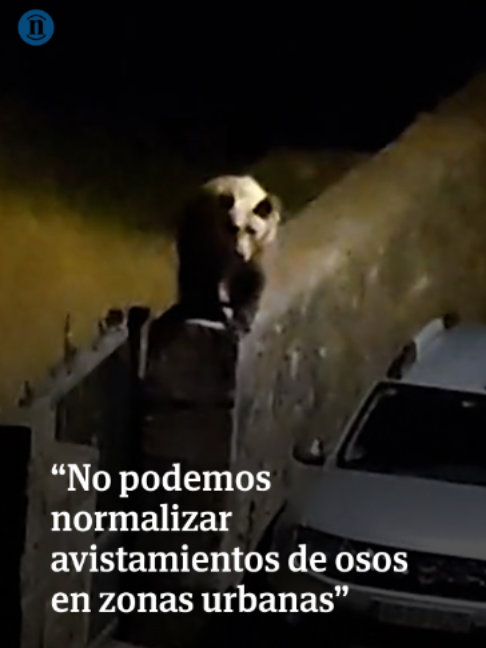 @leonoticias_