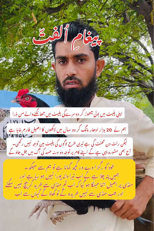 @Poultry Markaz