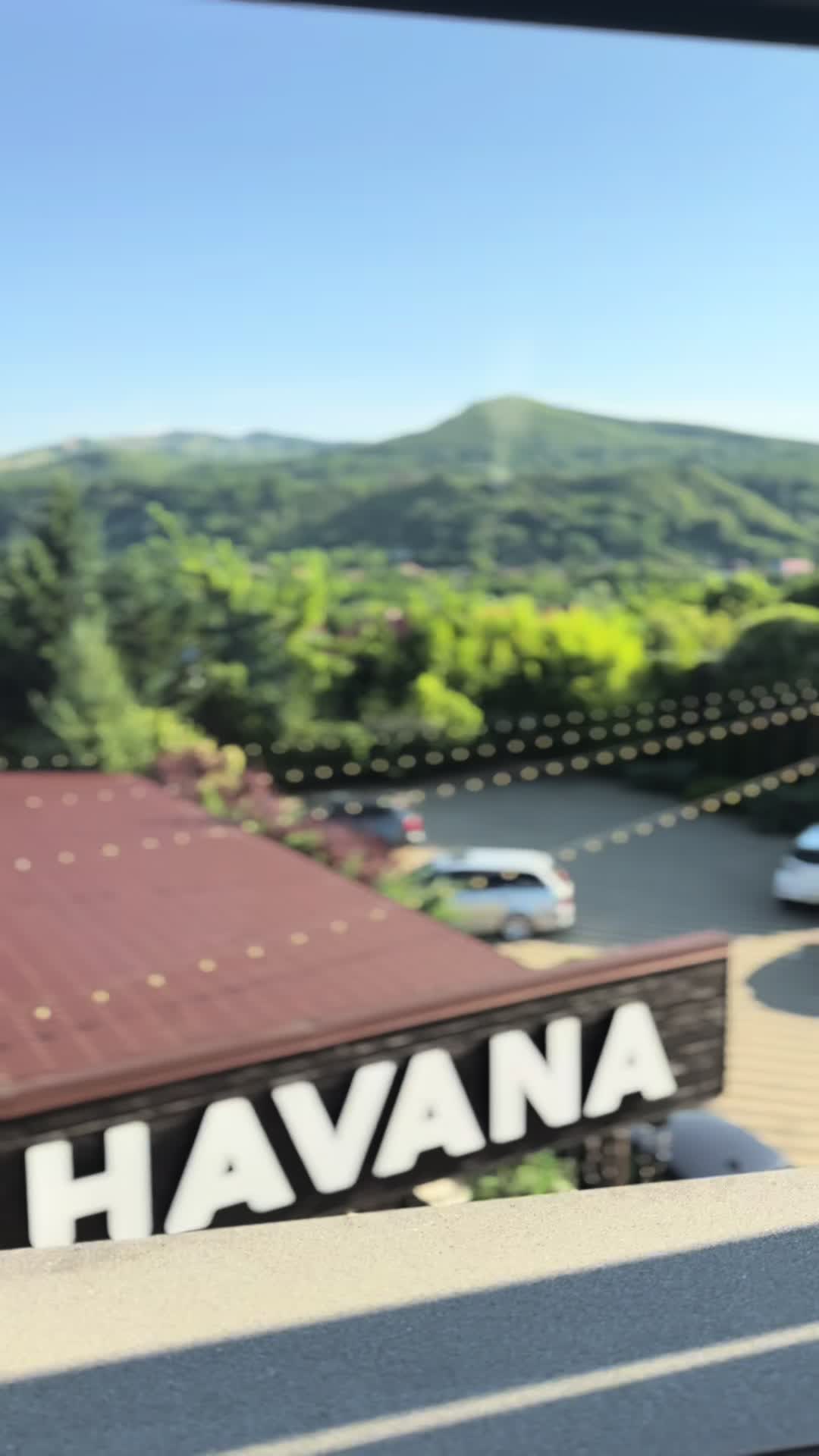 @Mădălin Niță