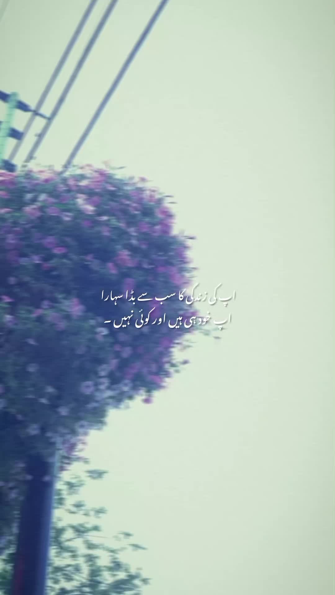 @𝙒𝘼𝙎𝙀𝙈❤️&zwj;🩹