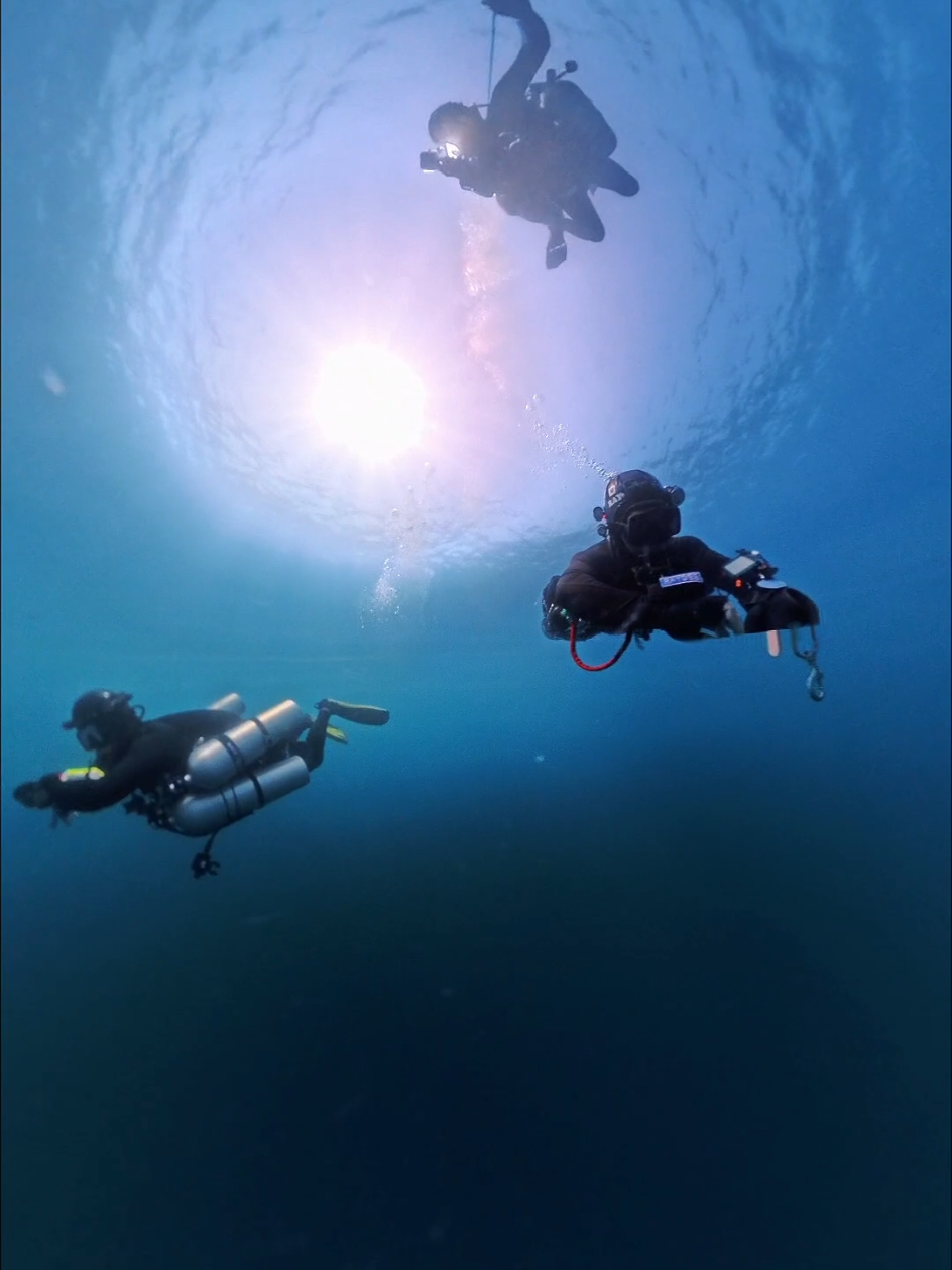 @🇵🇭Seantric Diving🇦🇪