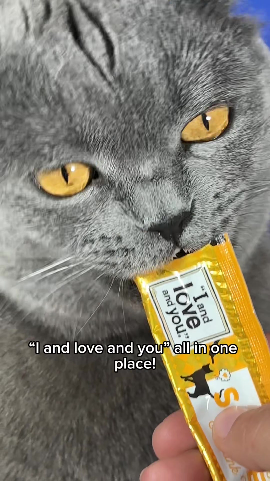 @Boris & Gregg