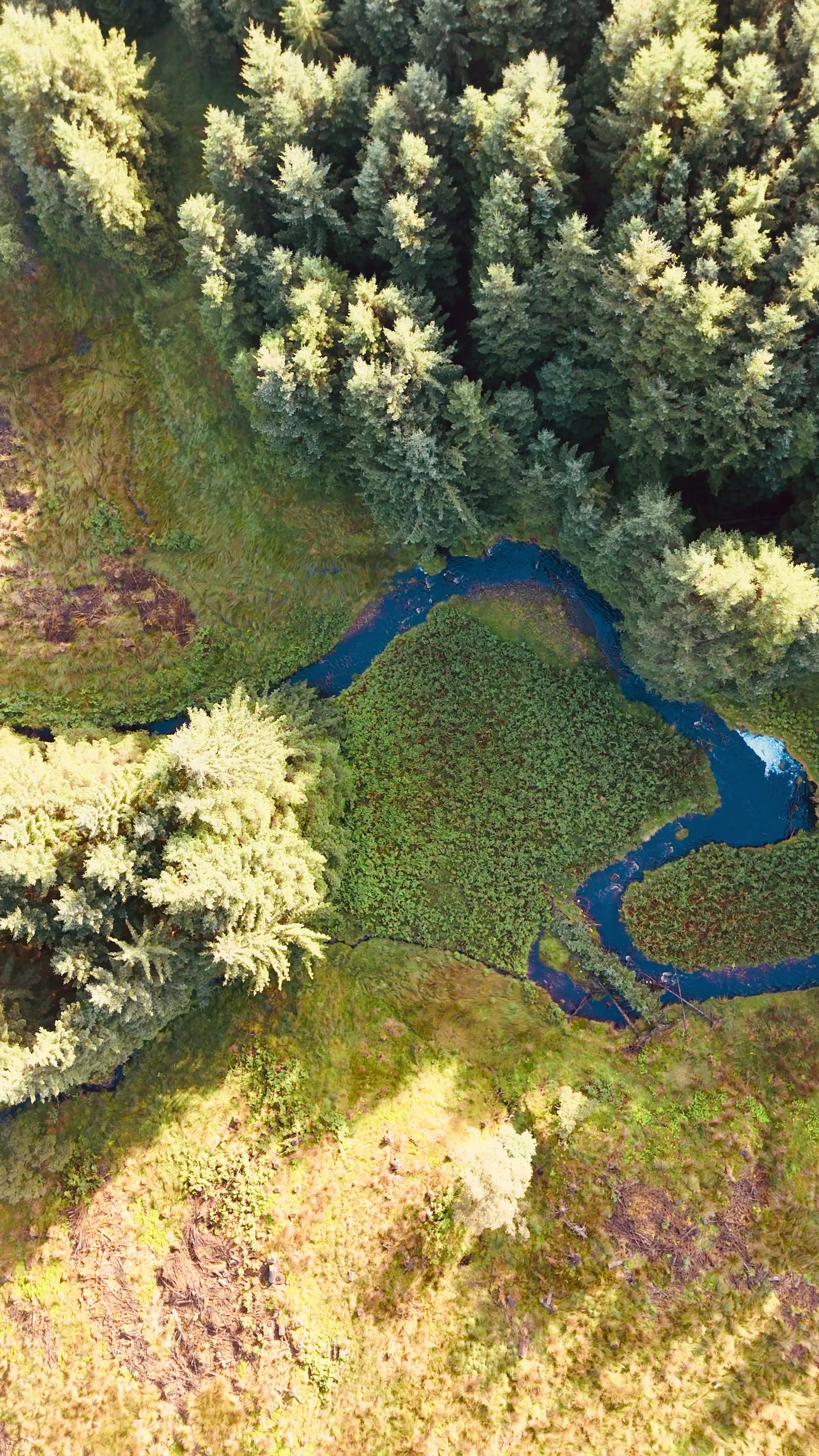 @DronescapeCornwall