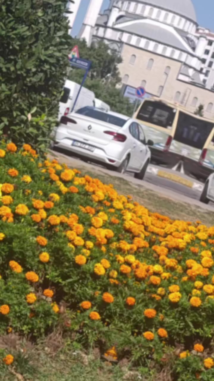 @BÜŞRA KARADAĞ