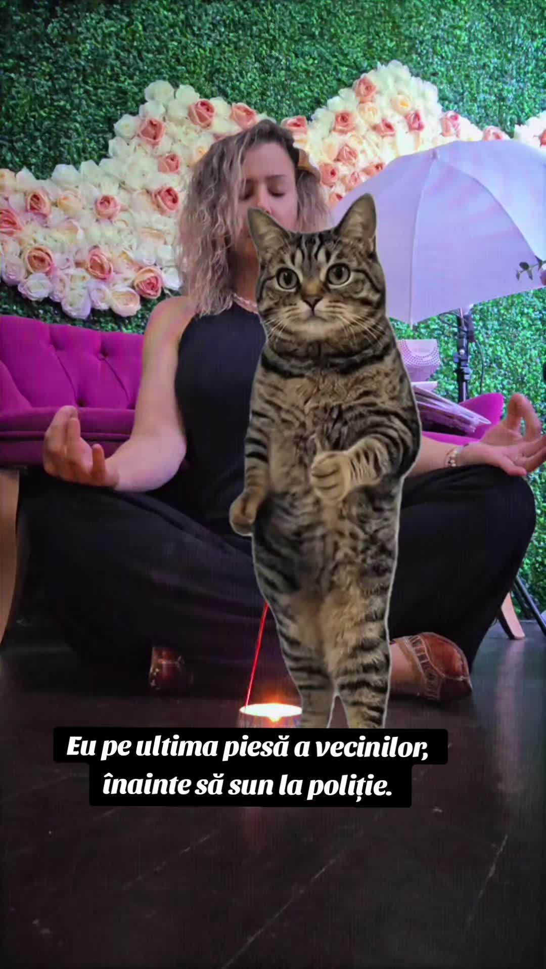 @Adelina Ivan