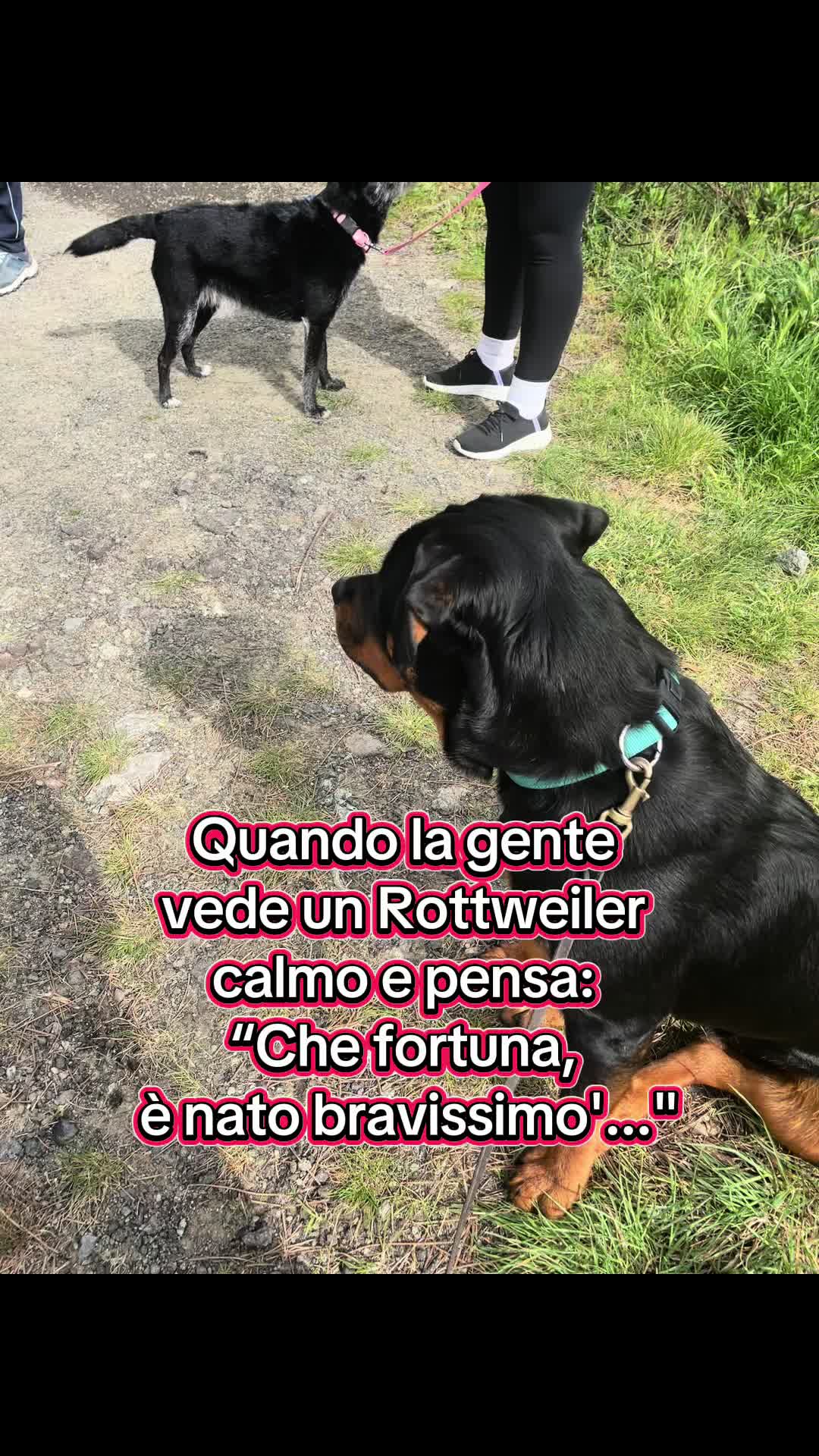 @Le avventure di Thor 🌪️ w ❤️