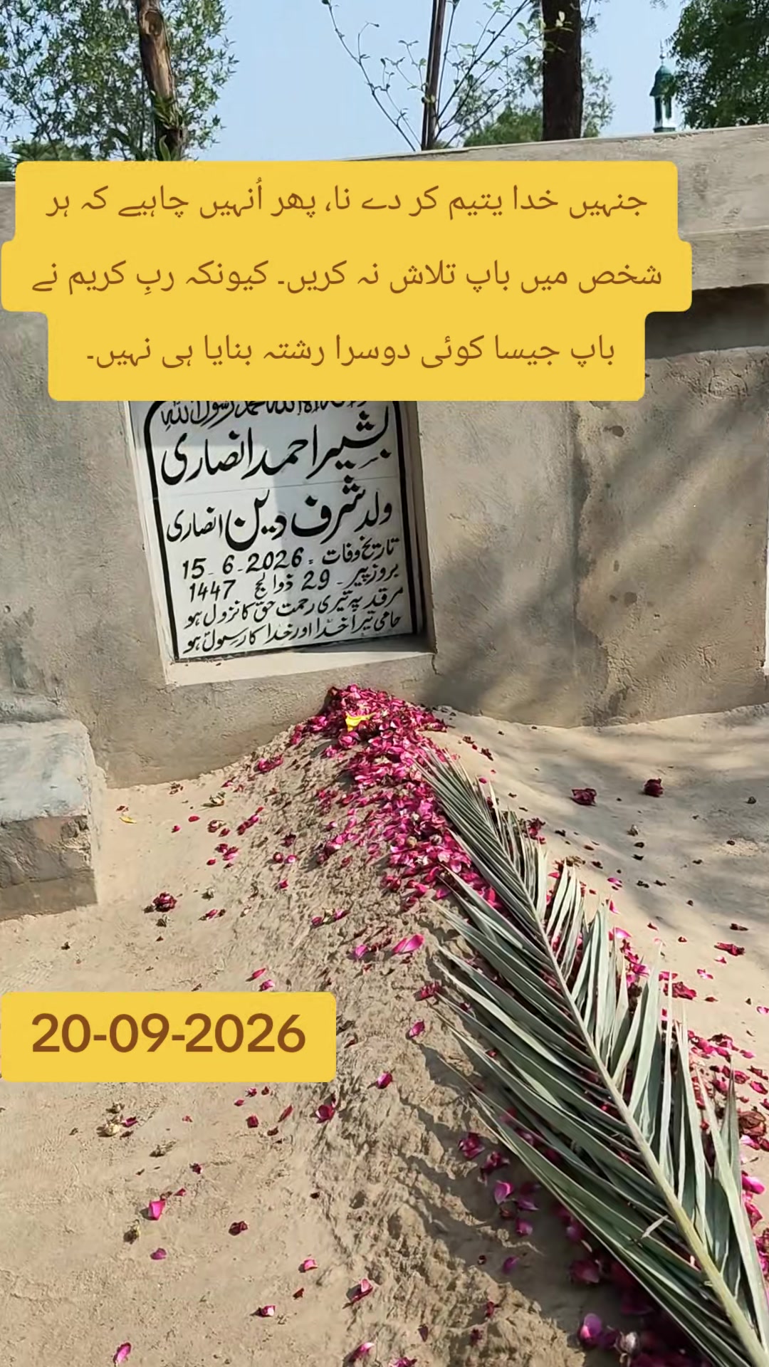 @Dr Zahid Bashir Ansari