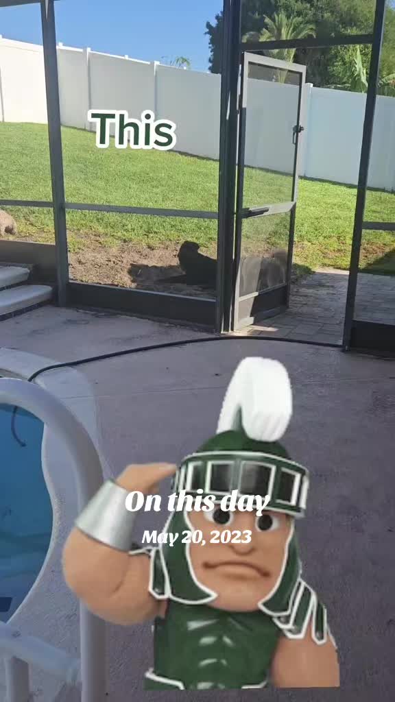 @FurMomLizz