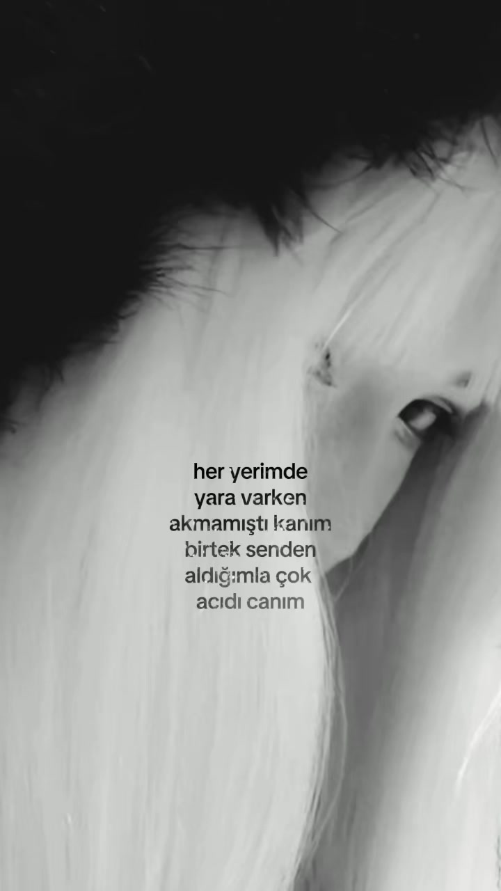 @𓆩xʏʟᴀ𓆪