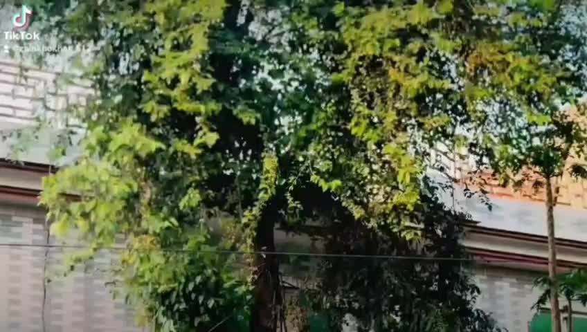 @mk~khokhar🦁