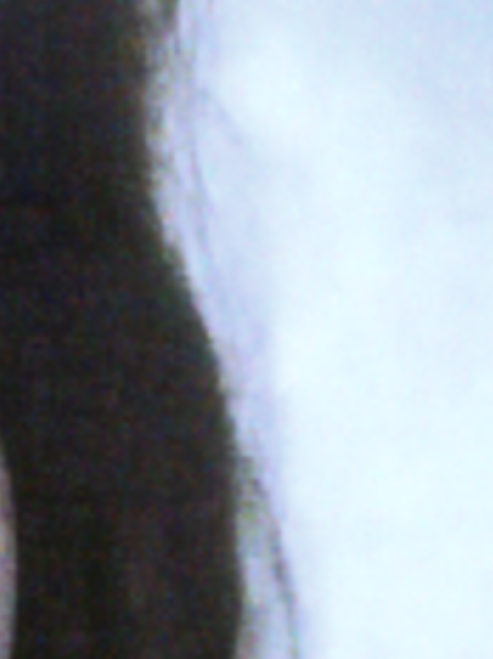 @Carolita Princesita