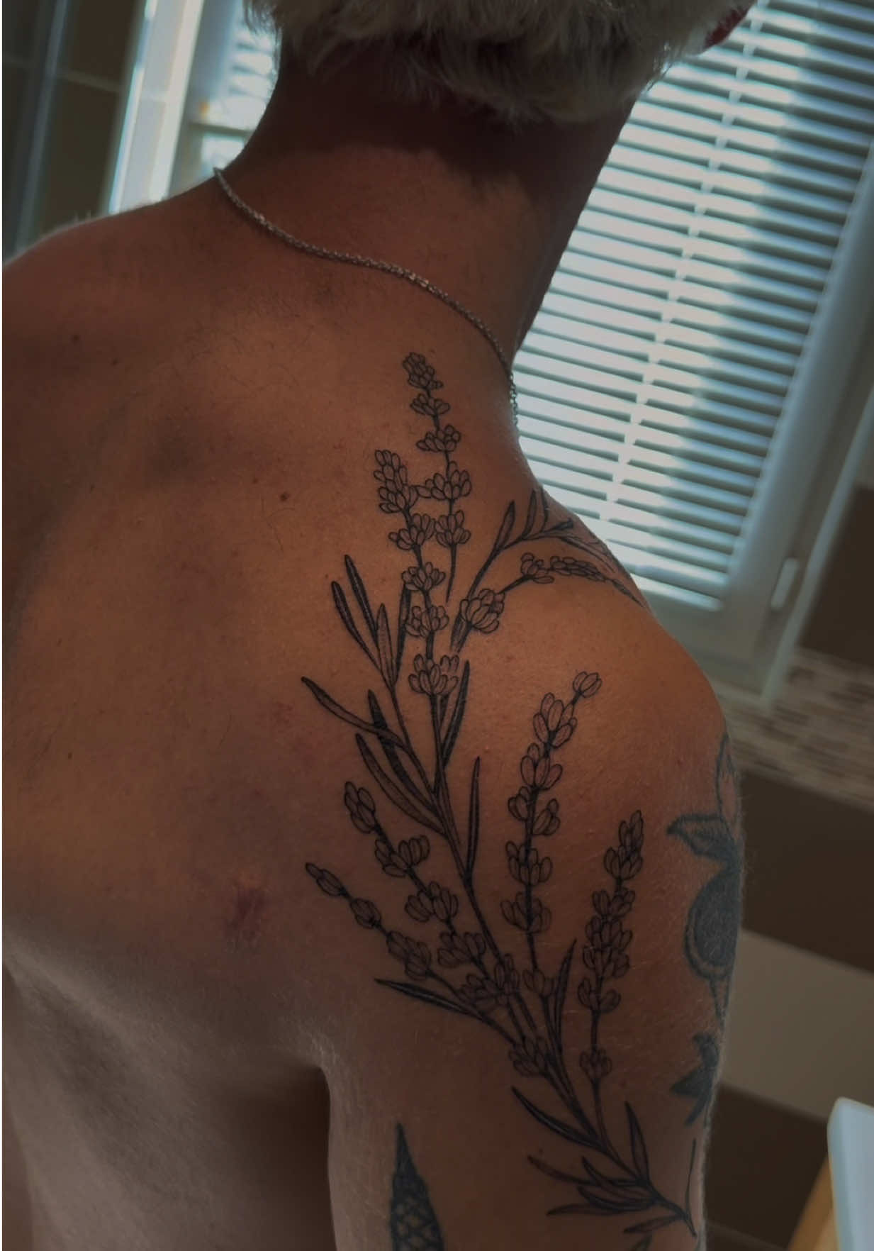 @Purplegose