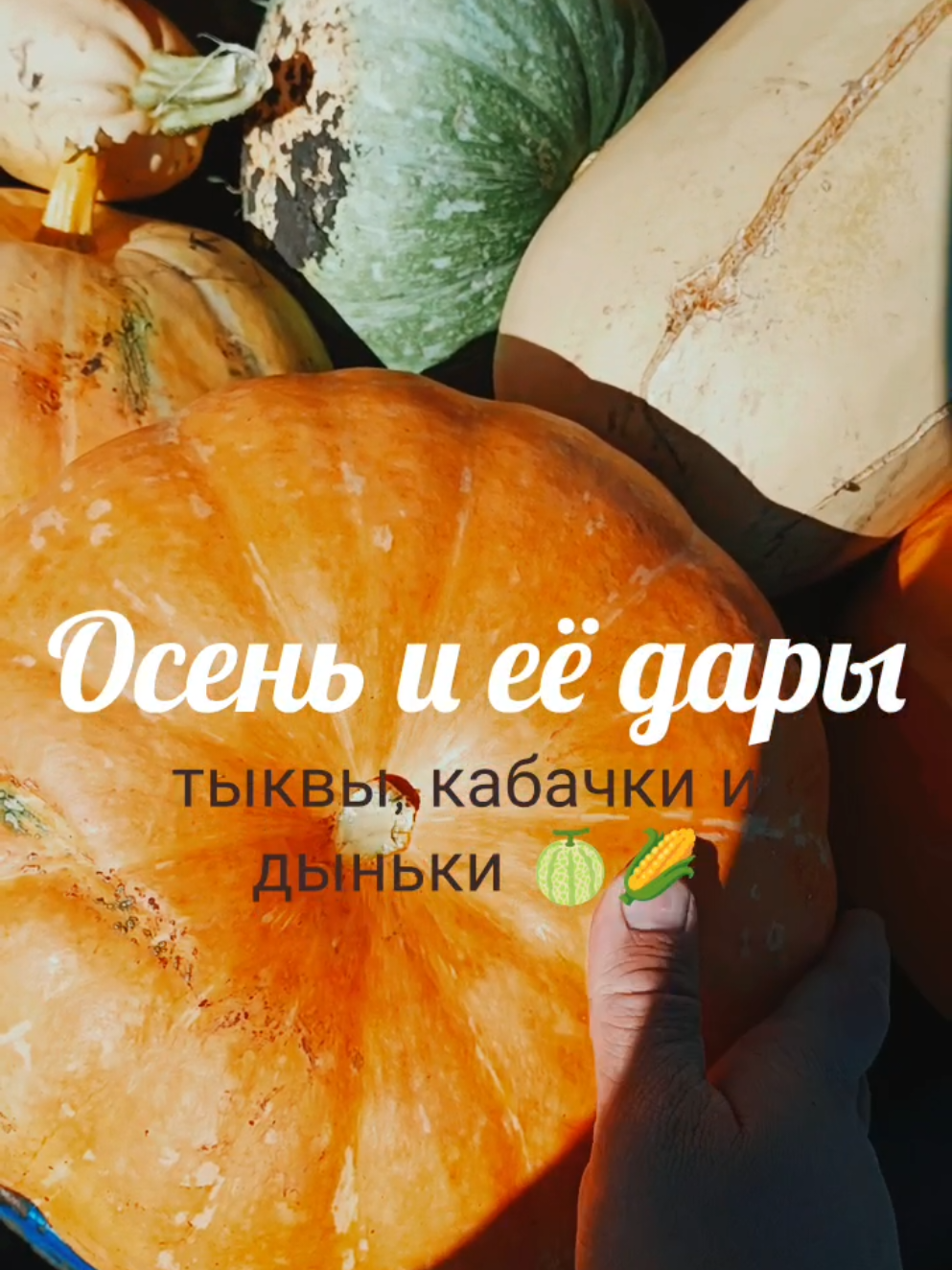 @Зелёные_крыши_Юнино 🏡
