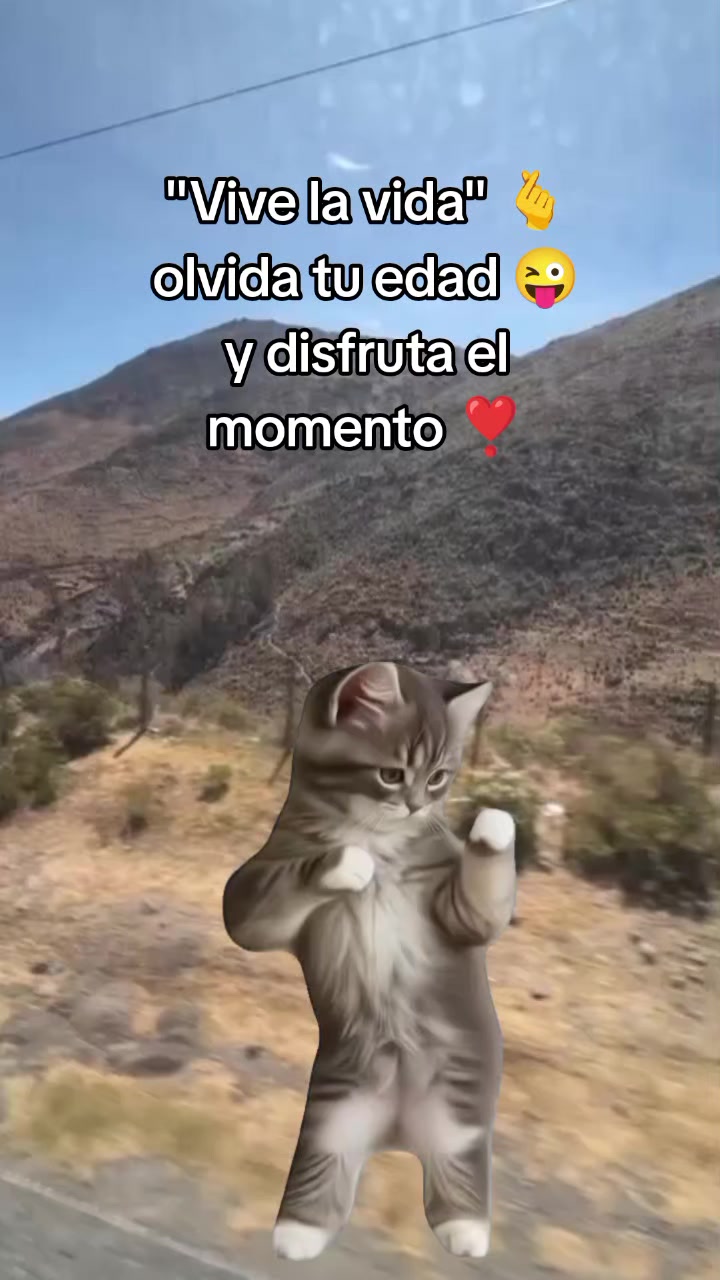 @🦋Janet🦋🇵🇪