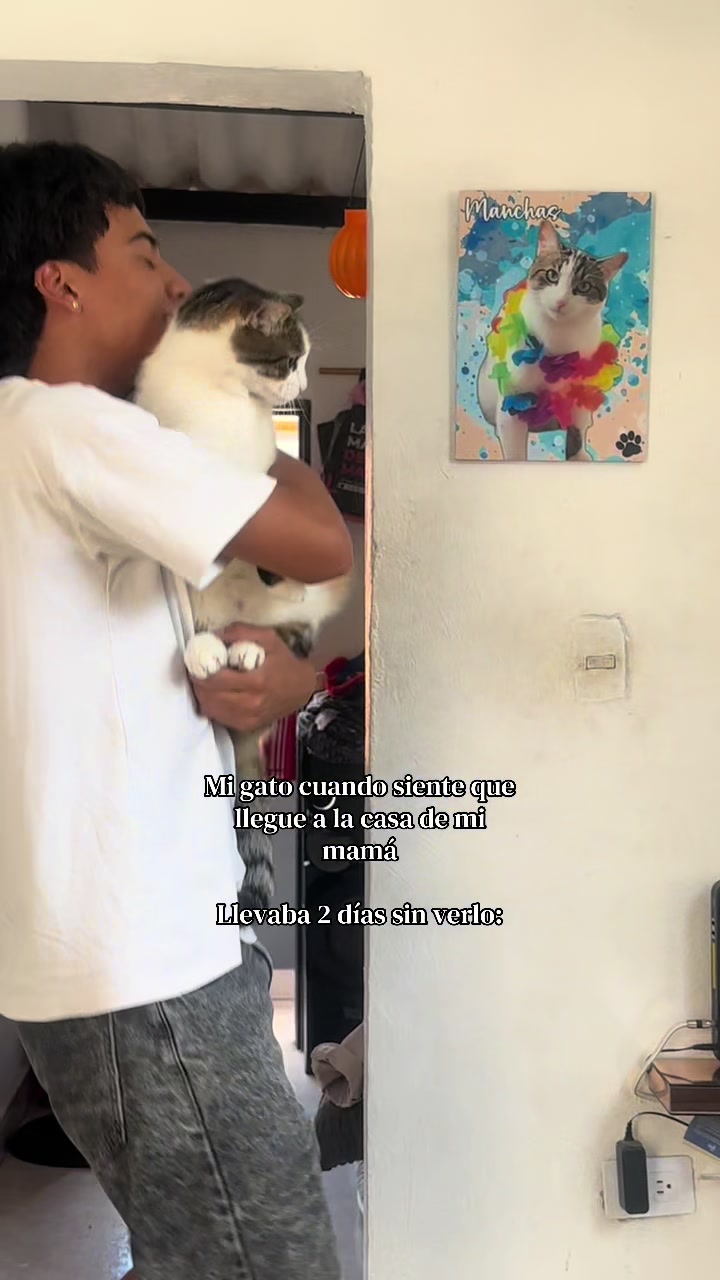 @Mateo R’G