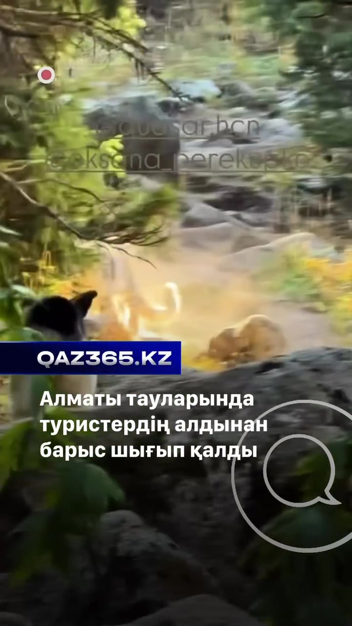 @Qaz365.kz | Новости Казахстана