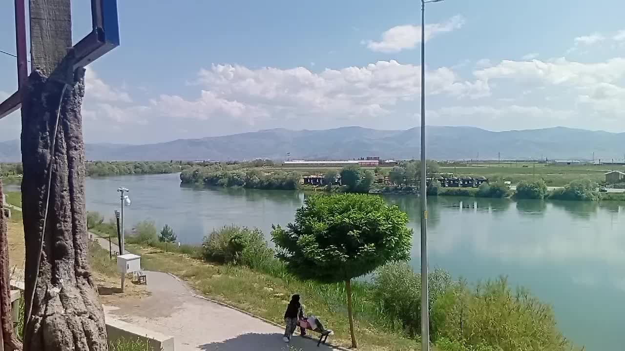 @Mustafa 3449