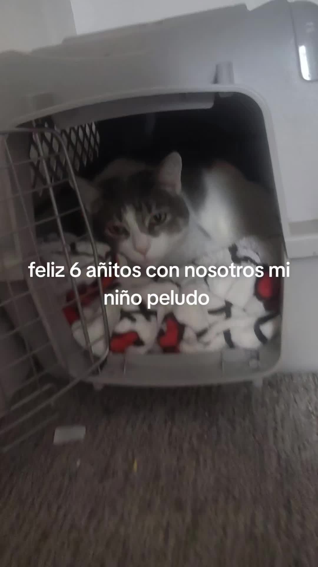@Amor de dios