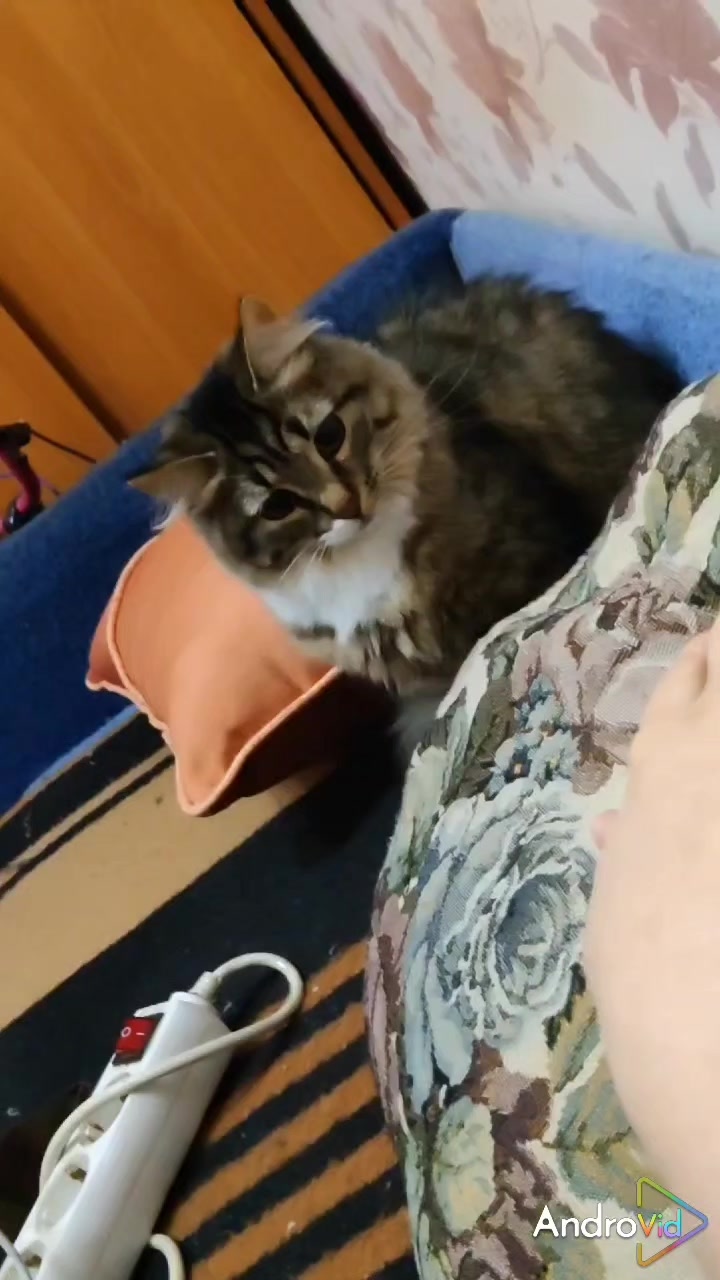 @ОЛЬГА ЩЕРБАКОВА