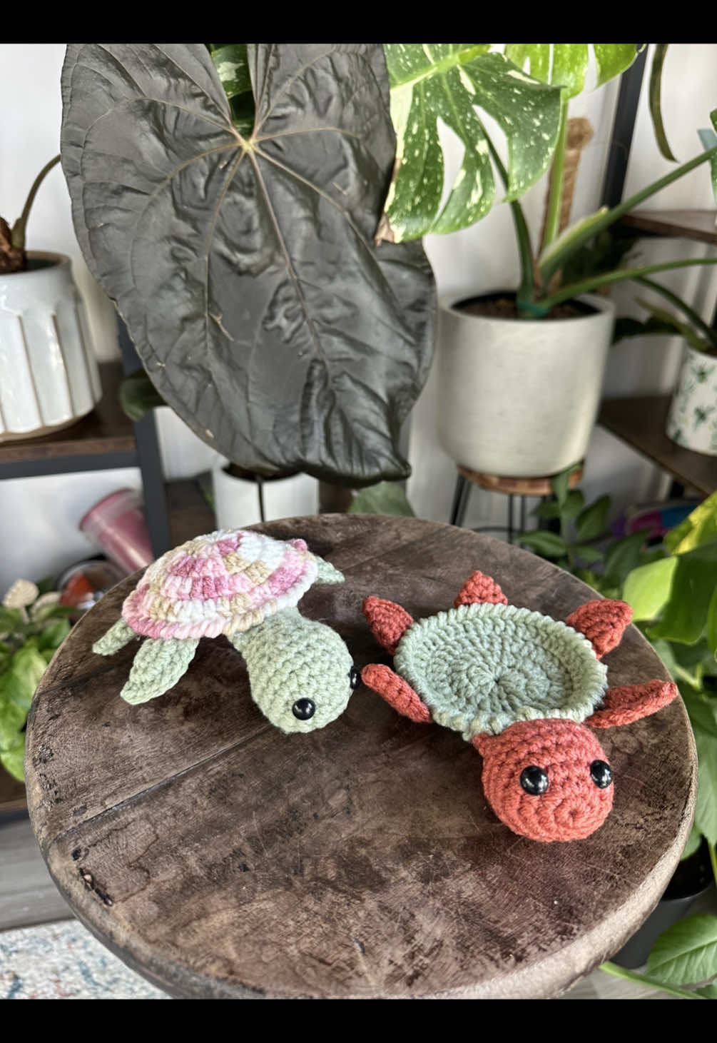 @Plantiiplants
