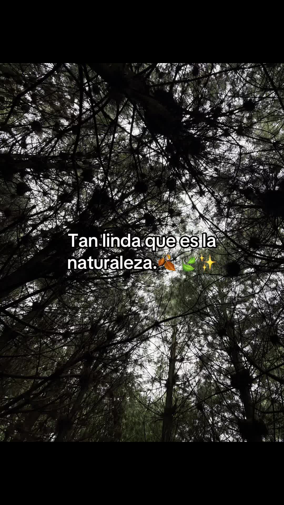 @Lizeth Rodriguez Martinez