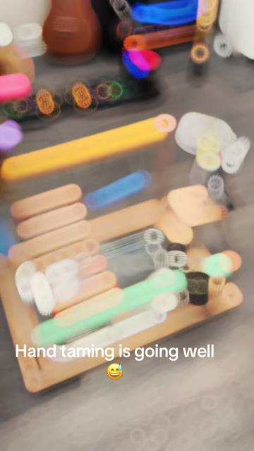 @aguyandhisqpack