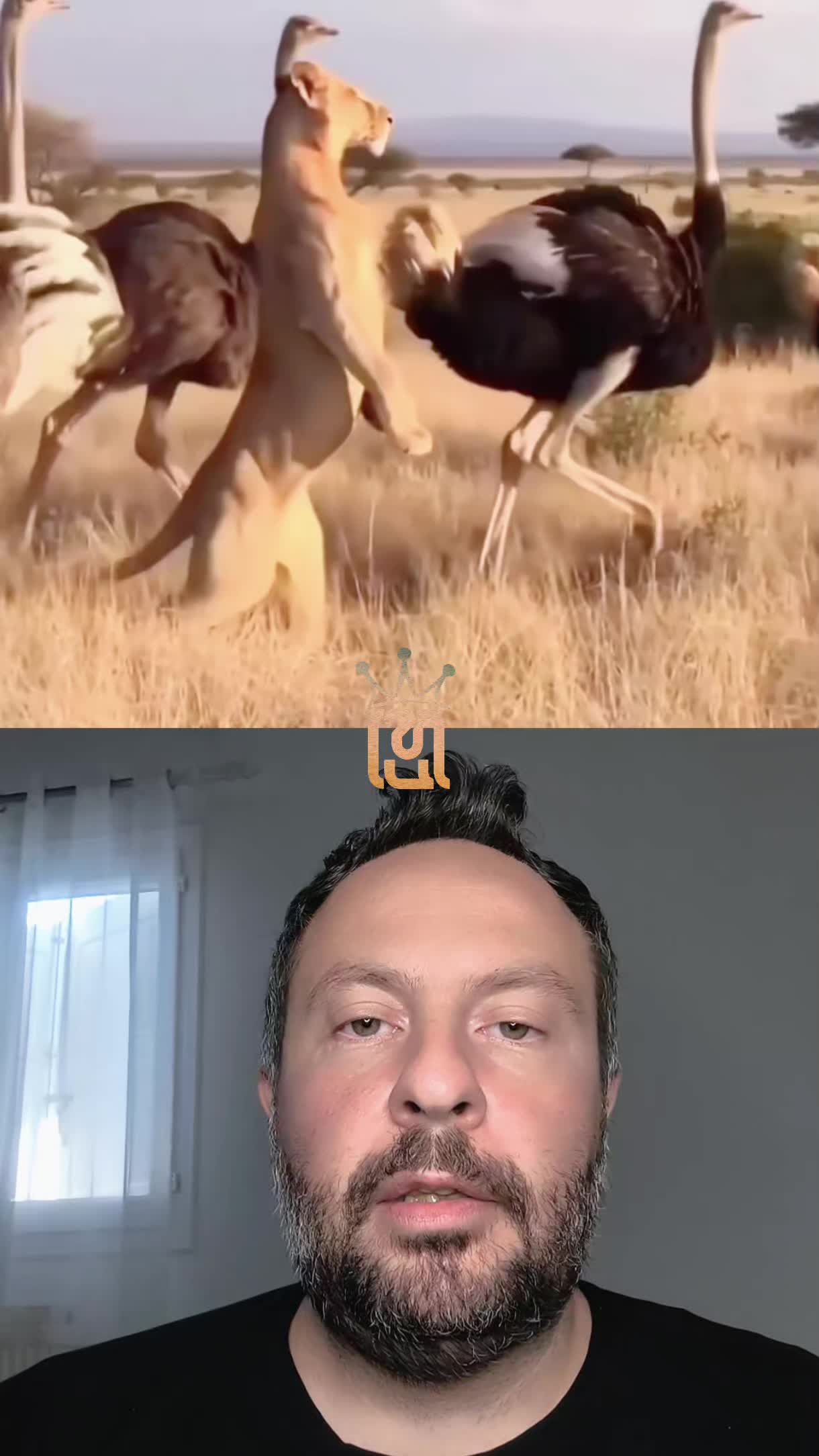 @hadjieleftheriadis