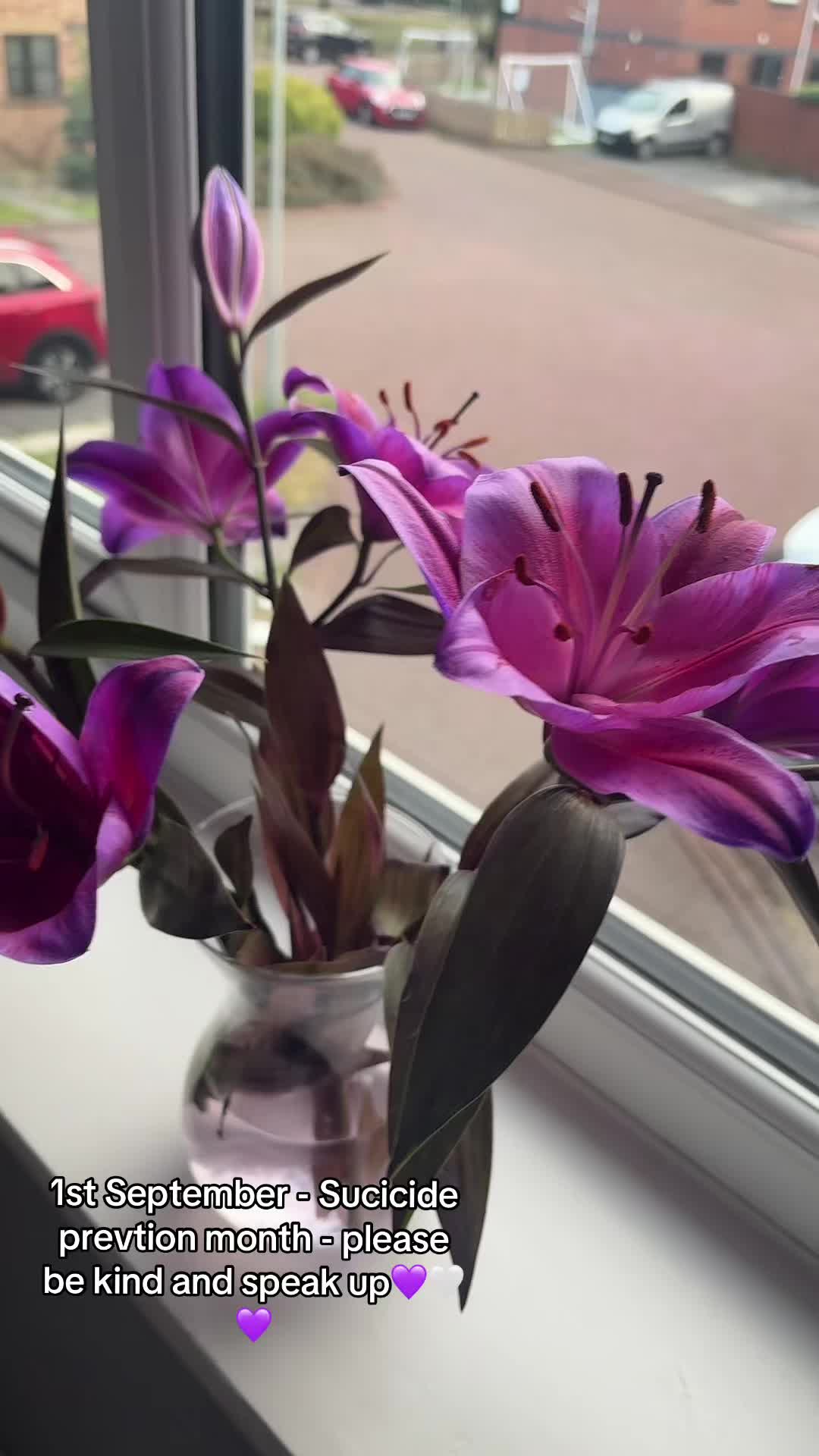 @Ashdemirci