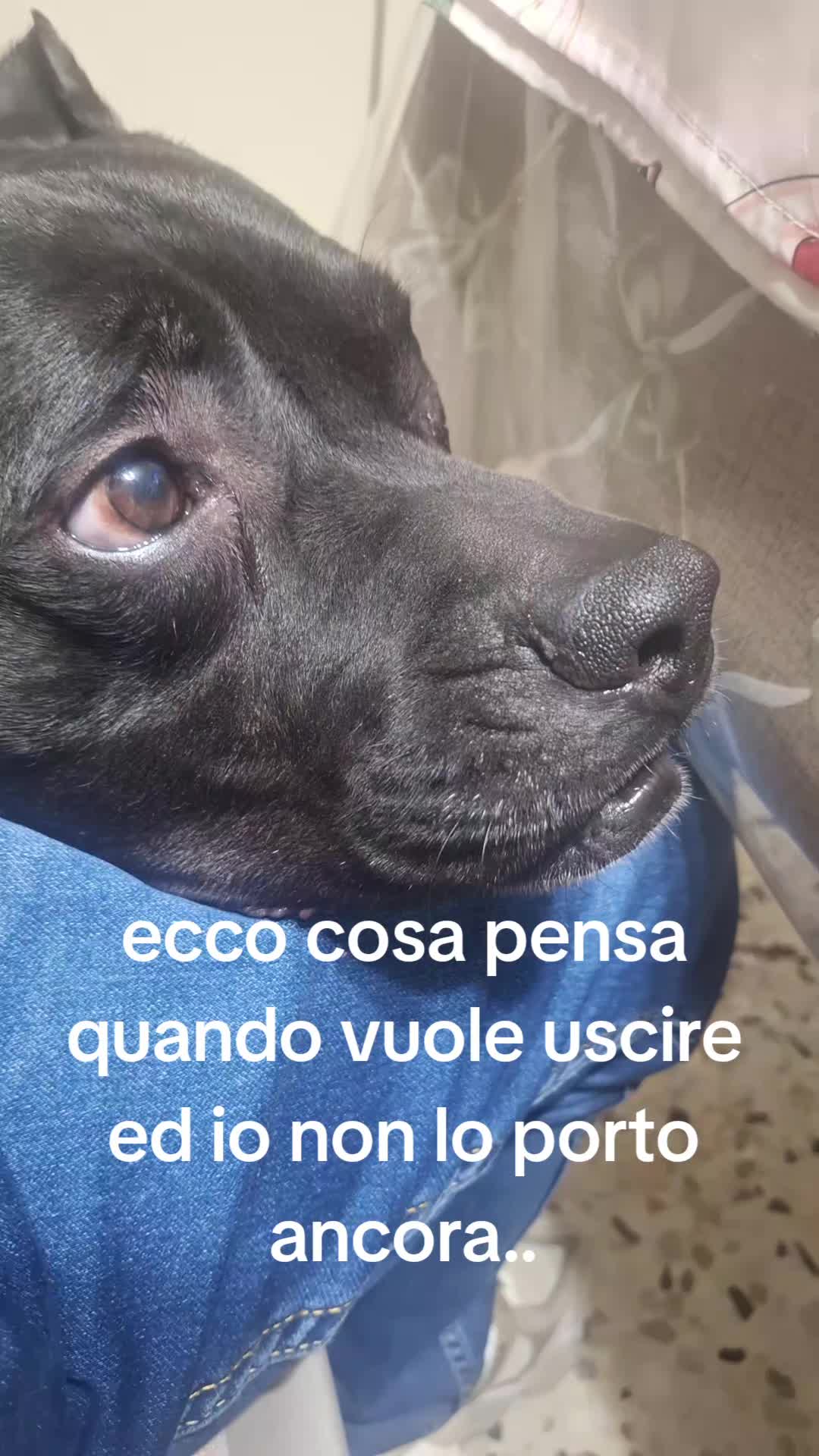 @❤️E🖤N❤️Z🖤O❤️